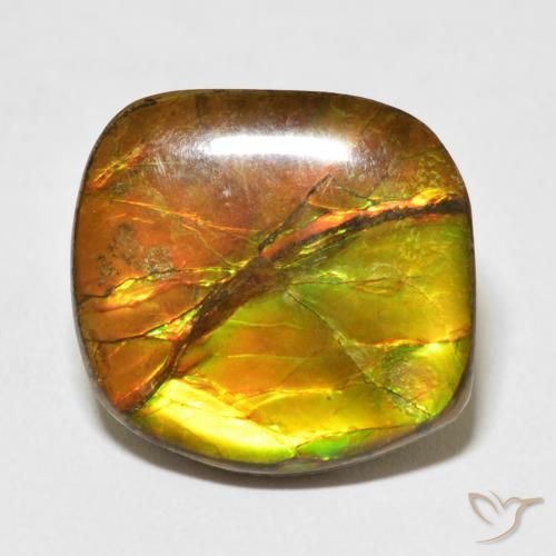 15.37ct Natürlicher Mehrfarbig Ammolith, Fantasie, Lichtundurchlässig