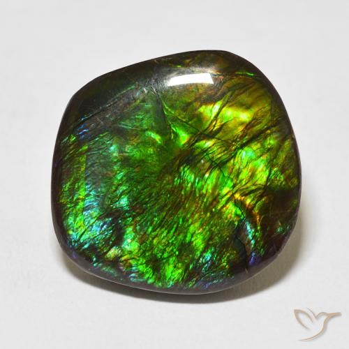 17.53ct Natürlicher Mehrfarbig Ammolith, Fantasie, Lichtundurchlässig