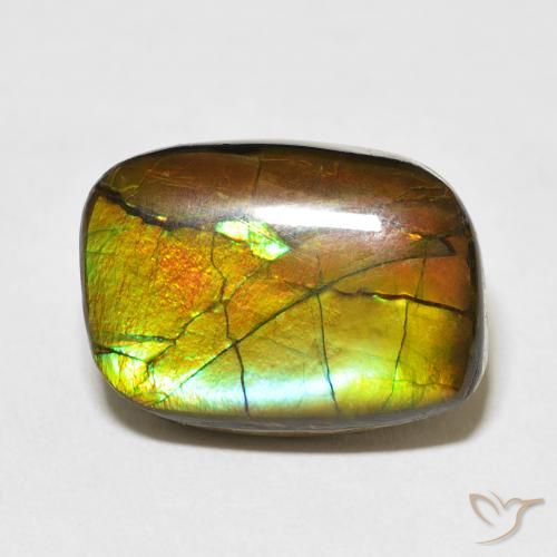 13.68ct Natürlicher Mehrfarbig Ammolith, Fantasie, Lichtundurchlässig