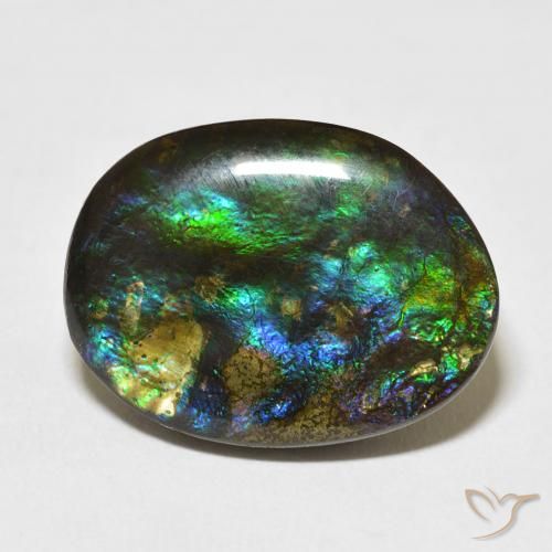 15.59ct Natürlicher Mehrfarbig Ammolith, Fantasie, Lichtundurchlässig