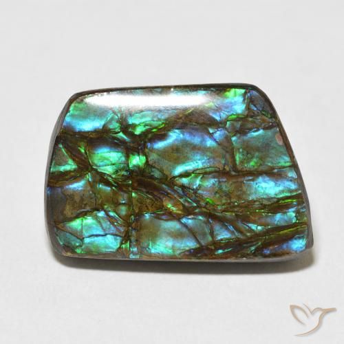 13.92ct Natürlicher Mehrfarbig Ammolith, Fantasie, Lichtundurchlässig