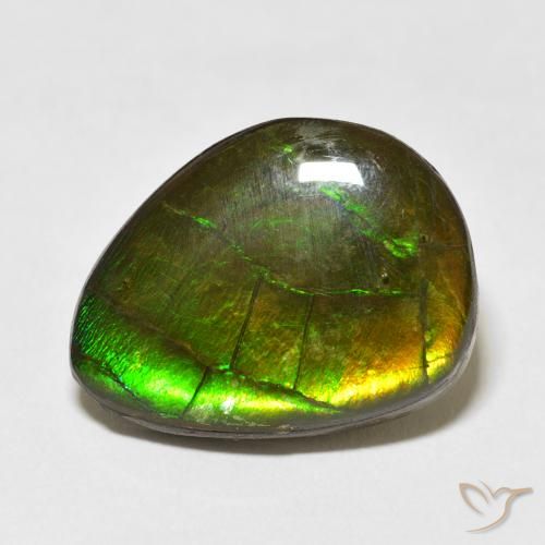 13.55ct Natürlicher Mehrfarbig Ammolith, Fantasie, Lichtundurchlässig