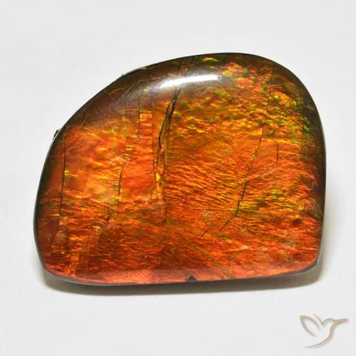 21.11ct Natürlicher Mehrfarbig Ammolith, Fantasie, Lichtundurchlässig