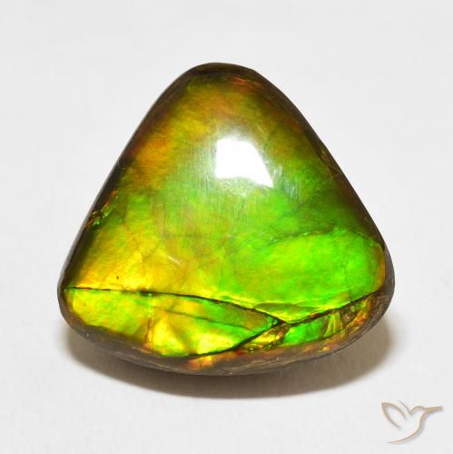 10.86ct Natürlicher Mehrfarbig Ammolith, Trillion, Lichtundurchlässig