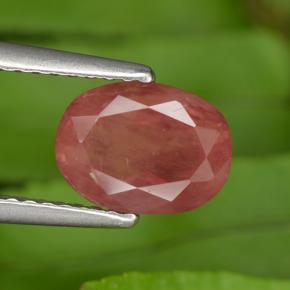 1,43 ctw natürlicher roter Andesin-Labradorit, Oval Schliff, VS
