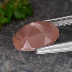 9,17 ctw natürlicher Honig-rot Andesin-Labradorit, Oval Schliff, Lichtdurchlässig