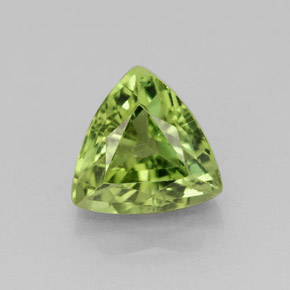 1,61 ctw natürlicher grüner Apatit, Trillion, VS