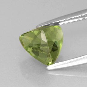 1,61 ctw natürlicher grüner Apatit, Trillion, VS