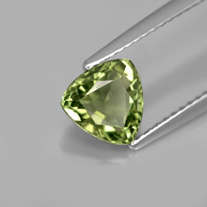 1,44 ctw natürlicher grüner Apatit, Trillion, VS