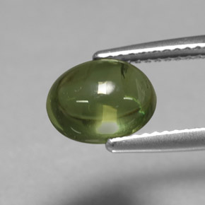 3,07 ctw natürlicher grüner Apatit, Oval Schliff, Transparent