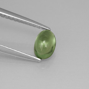 0,63 ctw natürlicher grüner Apatit, Oval Schliff, Transparent