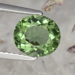 1,58 ctw natürlicher grüner Apatit, Oval Schliff, VS