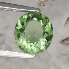 1,58 ctw natürlicher grüner Apatit, Oval Schliff, VS