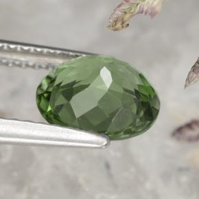 1,58 ctw natürlicher grüner Apatit, Oval Schliff, VS