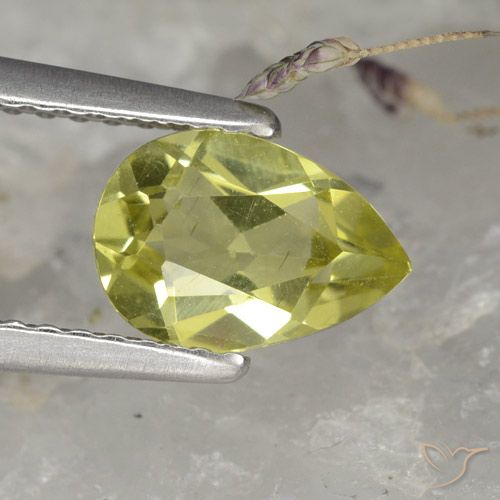1.11ct Natürlicher Warmes Waldgrün Apatit, Birnenform, VS