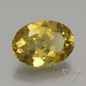 9,17 ctw natürlicher Golden Apatit, Oval, VS-SI