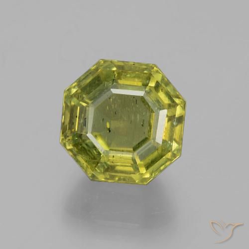 11.16ct Natürlicher Warmes Waldgrün Apatit, Smaragdschliff, VS-SI