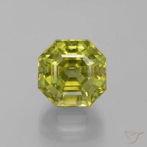 11.26ct Natürlicher Warmes Waldgrün Apatit, Smaragdschliff, VS-SI