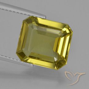 9,17 ctw natürlicher Erdiges Gold Apatit, Oktagonschliff, VS