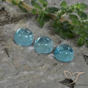 1.46 ct natürliche Tiefes Aquablau Apatit-Edelsteine, Runden, Transparent