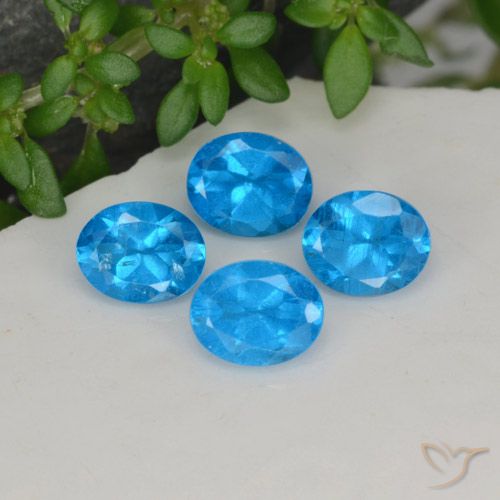 1.64ctw Natürlicher Blau Apatit, Oval, VS-SI