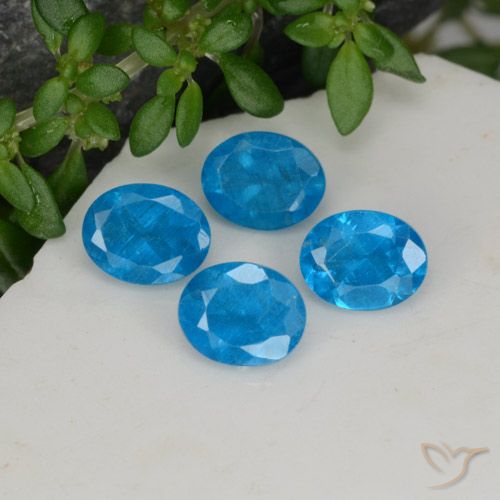 1.61ctw Natürlicher Mittelblau Apatit, Oval, VS-SI