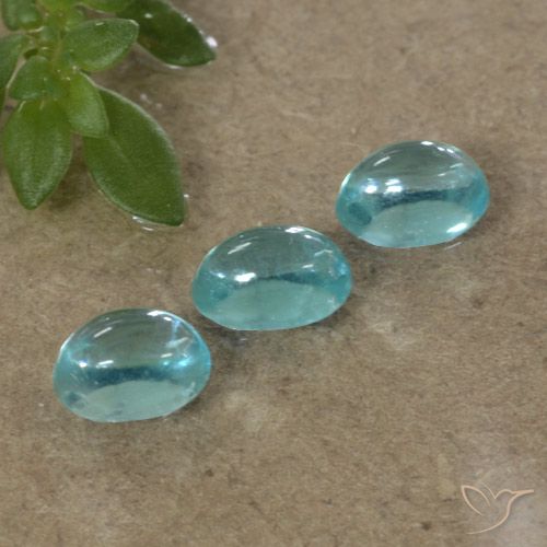 1.14ctw Natürlicher Mittelblau Apatit, Oval, Transparent