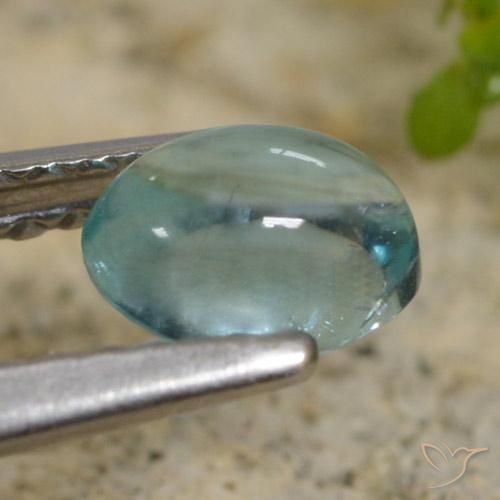 9,17 ctw natürlicher Hellblau Apatit, Oval, Transparent