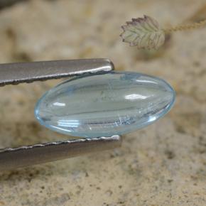 9,17 ctw natürlicher Hellblau Apatit, Marquise, Transparent