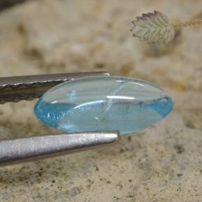 9,17 ctw natürlicher Hellblau Apatit, Marquise, Transparent