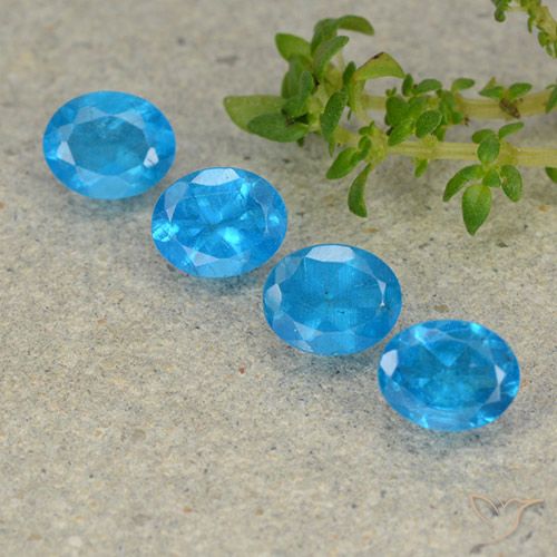 1.69ctw Natürlicher Tiefes Azur Apatit, Oval, VS