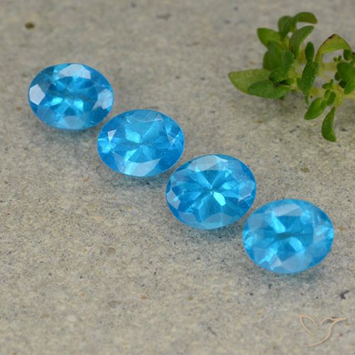 1.66ctw Natürlicher Mittelblau Apatit, Oval, VS