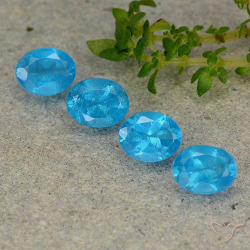 1.60ctw Natürlicher Mittelblau Apatit, Oval, VS