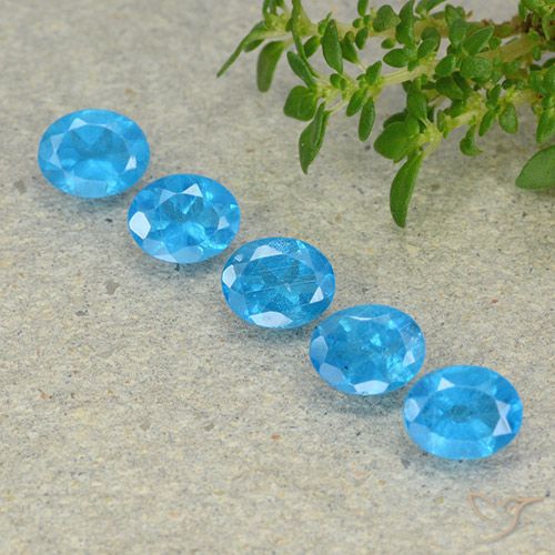 1.94ctw Natürlicher Mittelblau Apatit, Oval, VS