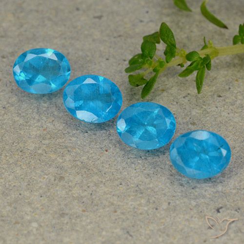 1.54ctw Natürlicher Mittelblau Apatit, Oval, VS