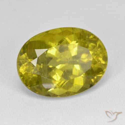 9,17 ctw natürlicher Medium Golden Brown Apatit, Oval, VS