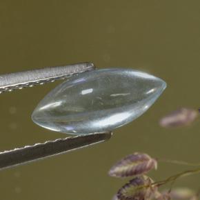 9,17 ctw natürlicher hellblau Aquamarin, Marquise, Transparent