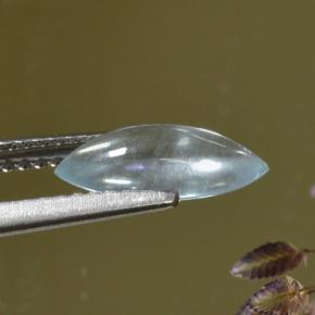 9,17 ctw natürlicher hellblau Aquamarin, Marquise, Transparent
