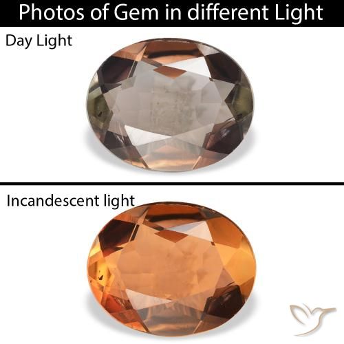 1.68ct Natürlicher dunkelbraun Axinit, Oval, SI