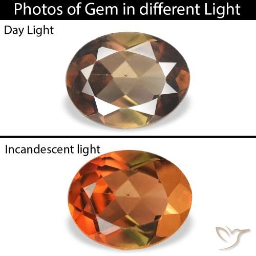 1.07ct Natürlicher dunkelbraun Axinit, Oval, SI