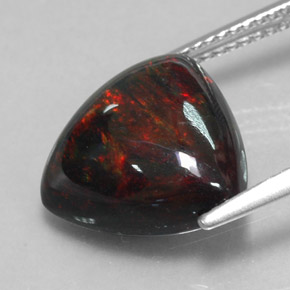4,03 ctw natürlicher mehrfarbiger Schwarzer Opal, Trillion, Lichtundurchlässig