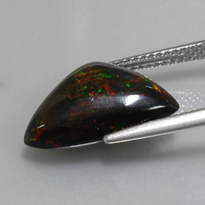 3,94 ctw natürlicher mehrfarbiger Schwarzer Opal, Trillion, Lichtundurchlässig