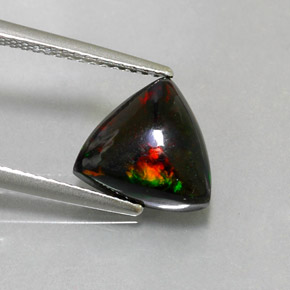 1,88 ctw natürlicher mehrfarbiger Schwarzer Opal, Trillion, Lichtundurchlässig
