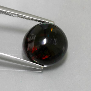 2,80 ctw natürlicher mehrfarbiger Schwarzer Opal, Rundschliff, Lichtundurchlässig