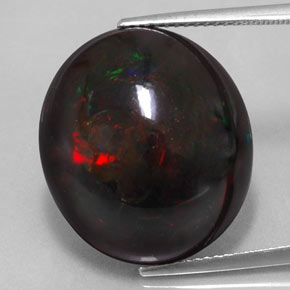 17,67 ctw natürlicher mehrfarbiger Schwarzer Opal, Oval Schliff, Lichtundurchlässig