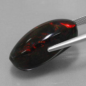 17,92 ctw natürlicher mehrfarbiger Schwarzer Opal, Oval Schliff, Lichtundurchlässig