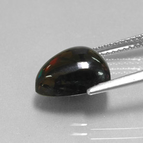 2,56 ctw natürlicher mehrfarbiger Schwarzer Opal, Trillion, Lichtundurchlässig