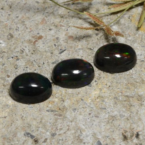 2.84ctw Natürlicher Mehrfarbig Schwarzer Opal, Oval, Lichtdurchlässig