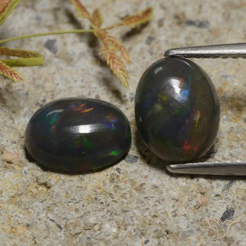 2.30ctw Natürlicher Mehrfarbig Schwarzer Opal, Oval, Lichtdurchlässig