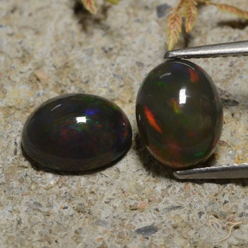 2.65ctw Natürlicher Mehrfarbig Schwarzer Opal, Oval, Lichtdurchlässig